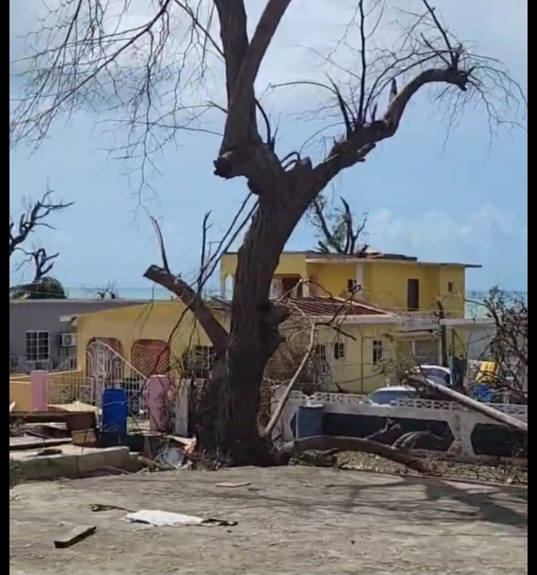 Screenshot_20251029_164012_WhatsApp